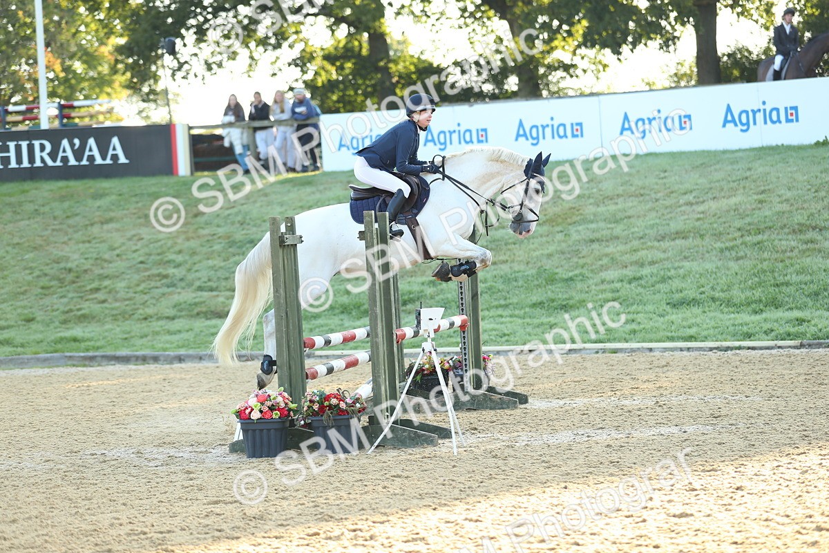 SBM_57728 - J64 - Clear Round 90cm