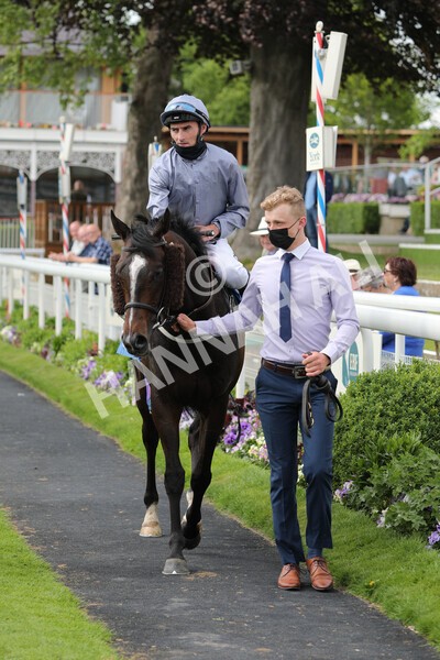 yr11062021r5-27 - Race 5 4.00pm Sky Bet Ganton Stakes