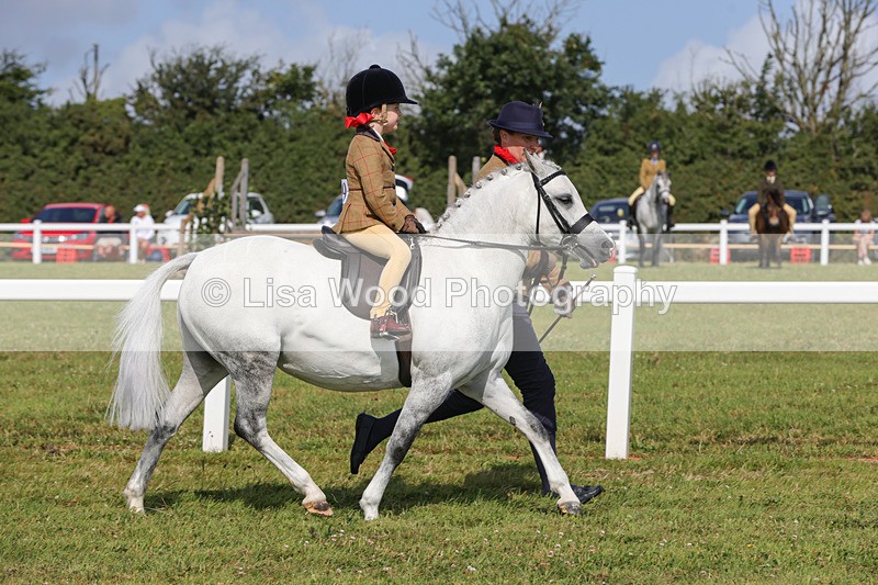 1X9A3599 - Class 29: Lead Rein SP/SHP