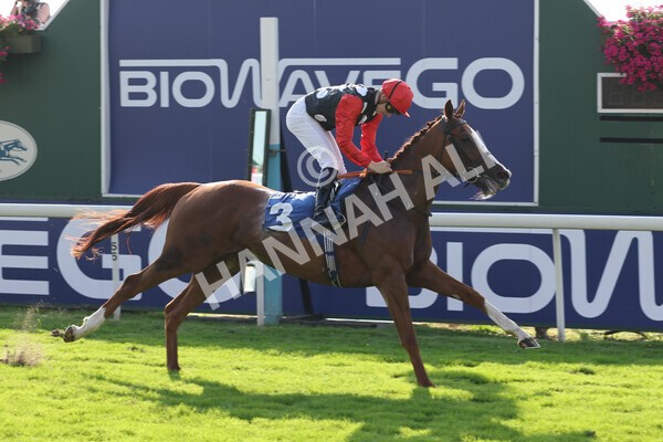 yr05092021r5-23 - Race 5 4.20pm Little Green Rascals Children's Nurseries Stakes