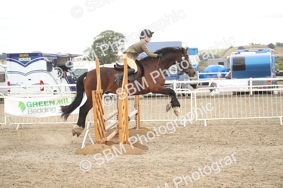 SBM_17907 - Class 508b - Working Veteran 70cm (20+)