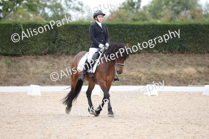 20250820-1074 - Class 17 - Elementary 4