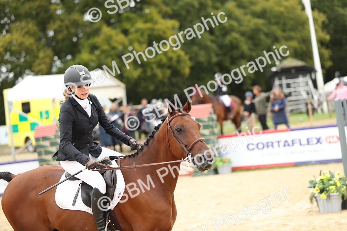 SBM_63111 - Supreme championship 75cm 80cm