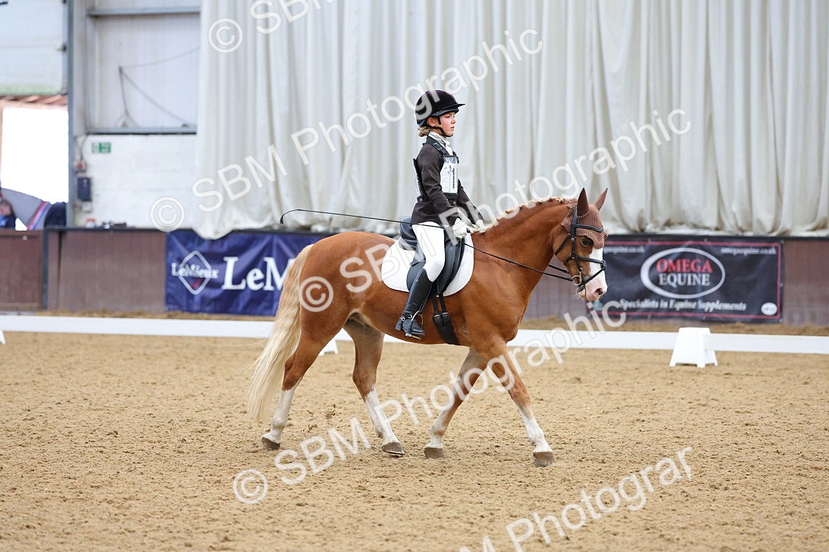 SBM_002973 - Novice