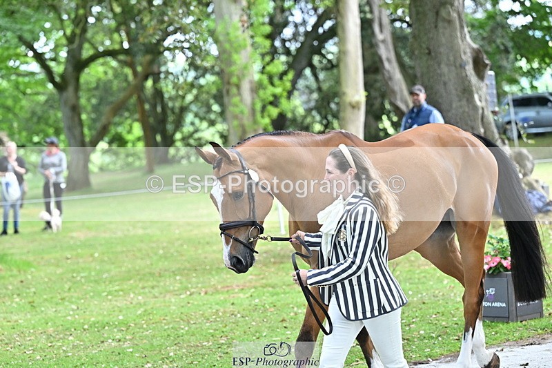 250521A-152911-00539 - B-321-Laura.Collett-BALANCERO