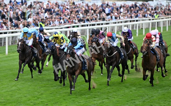 220825-134 Asfoora - Race 4 3.35pm Coolmore Wootton Bassett Nunthorpe Stakes