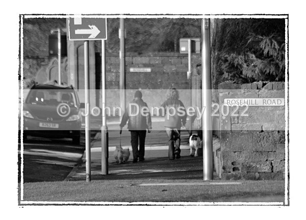 Rosehill Walk - Walking the Dog