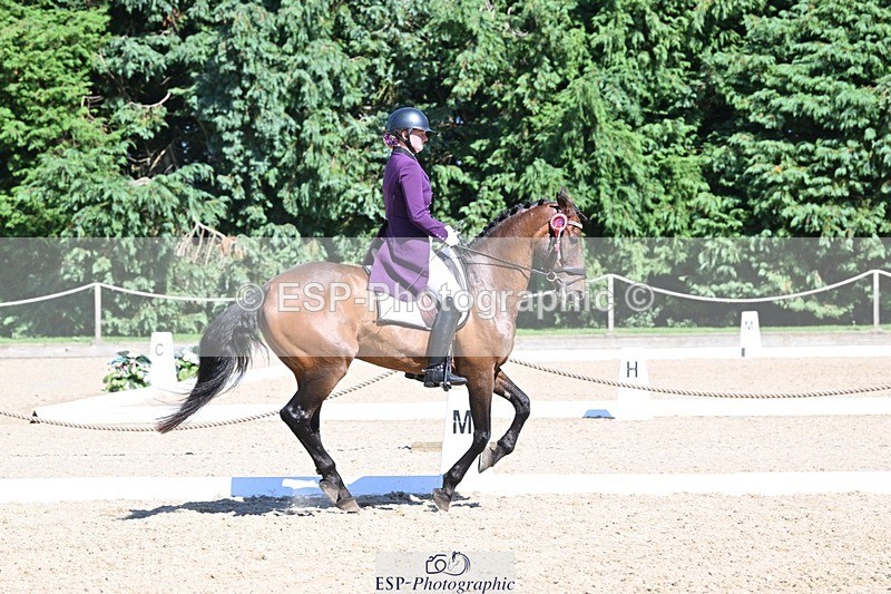 240811-154530-06840 - Inter I Silver