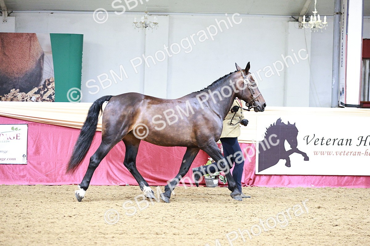 SBM_00915 - Class 2A - Area IH Veteran