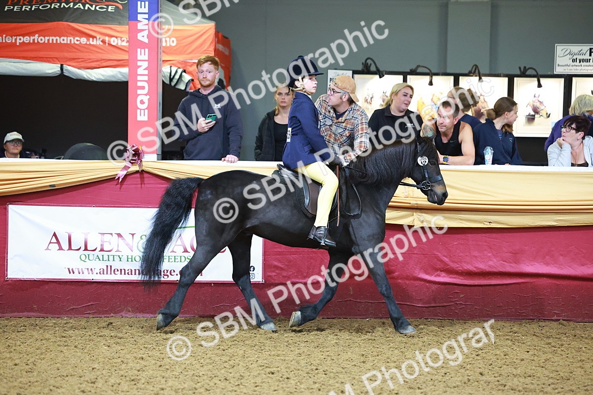 SBM_14686 - Class C - Novelty champ