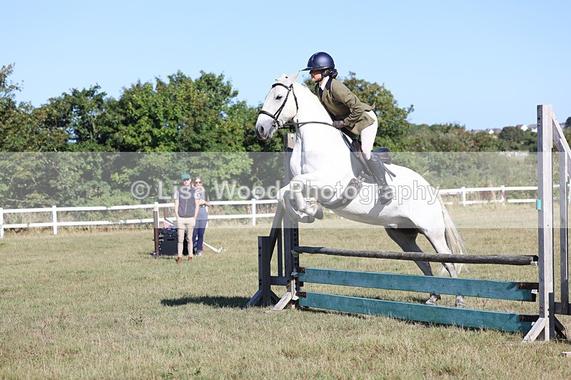 3E7A5413 - Class 3: Working Hunter 70cm