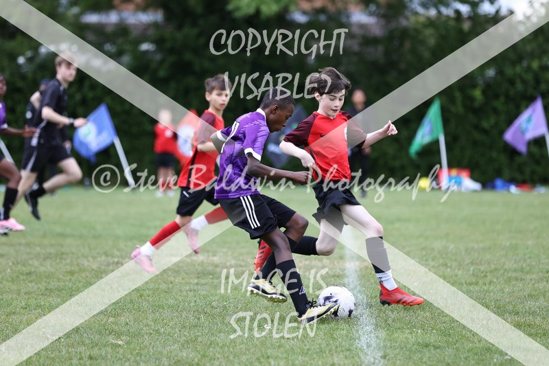 1DX31235 - Brook Field V Goddard Park