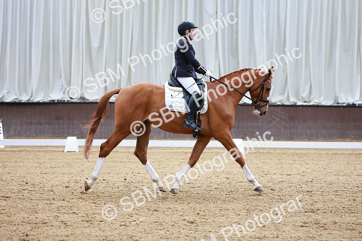 SBM_001357 - Class 5 - Novice 5