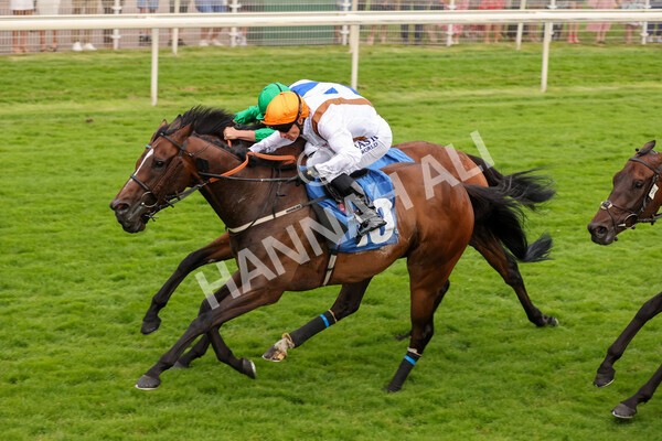 yr23072021r5-20 - Race 5 8.00pm Gallop Racing Stakes