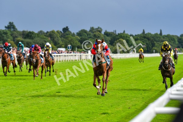 150723-Race 6-Robert Johnson-8815 - Race 6 4.55pm John Smith's Stayers' Handicap