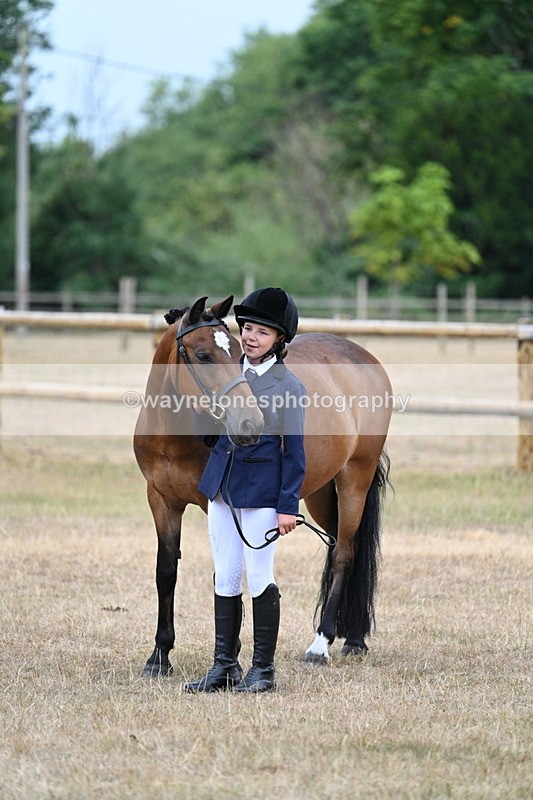 WJ7_9686 - Class 5 Most Handsome Gelding (up to 14.2hh)