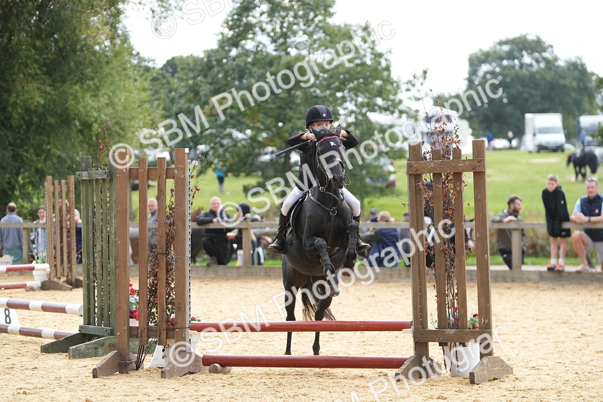 SBM_74719 - J4 - Mini Tour Junior Pony 45cm Championship