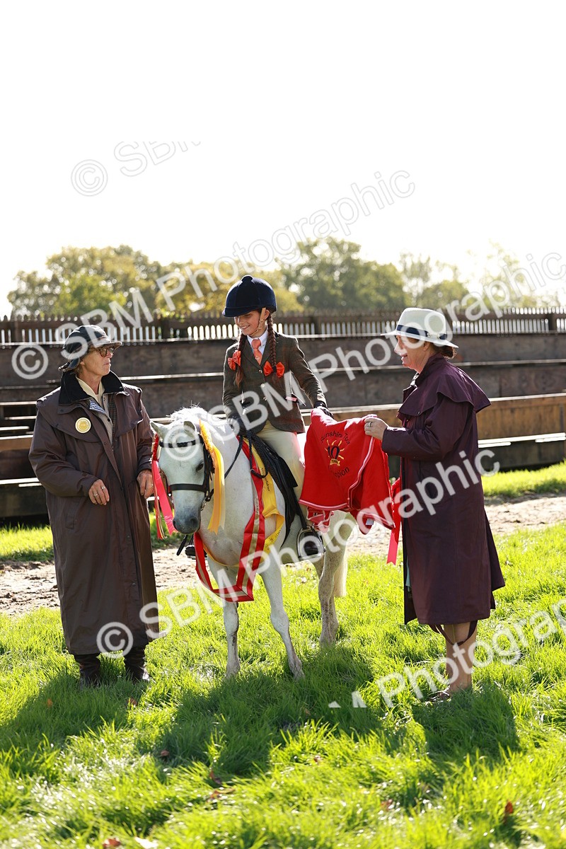 SBM_42173 - S32 - Mountain & Moorland Working Hunter Pony