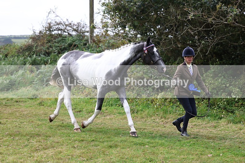 3E7A5689 - In Hand Championship