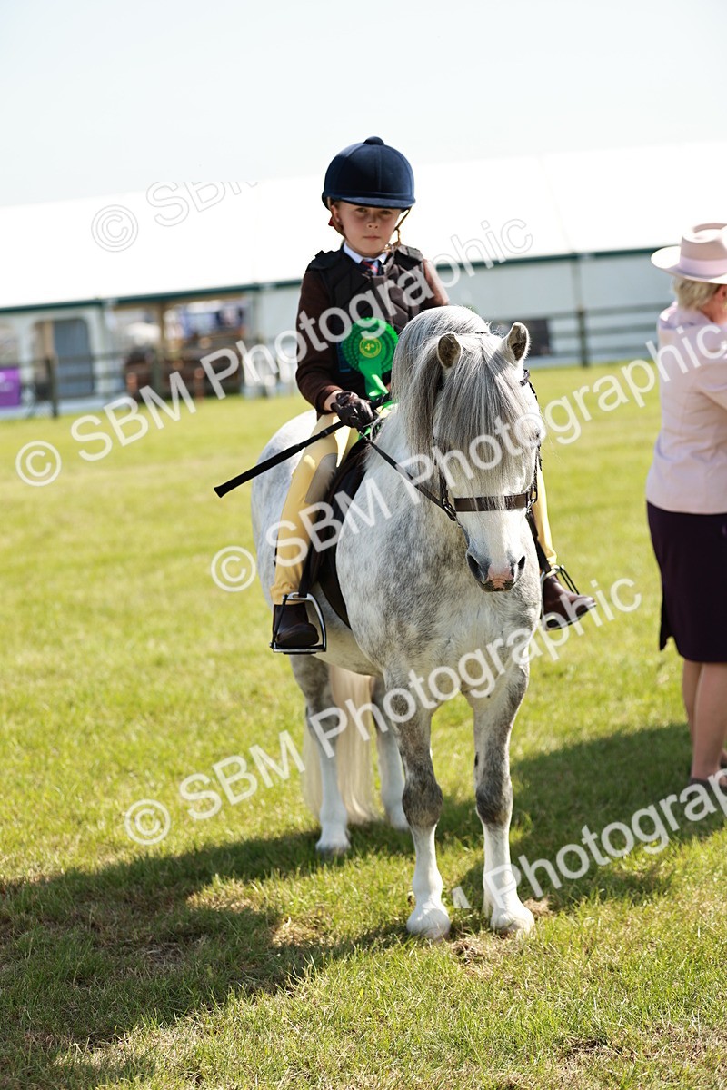 SBM_12801 - Class 106-107 - BSPS LIHS Working Sports Pony