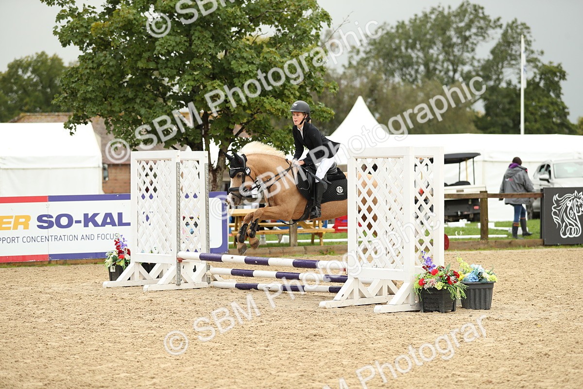 SBM_34235 - J60 Clear Round 50cm