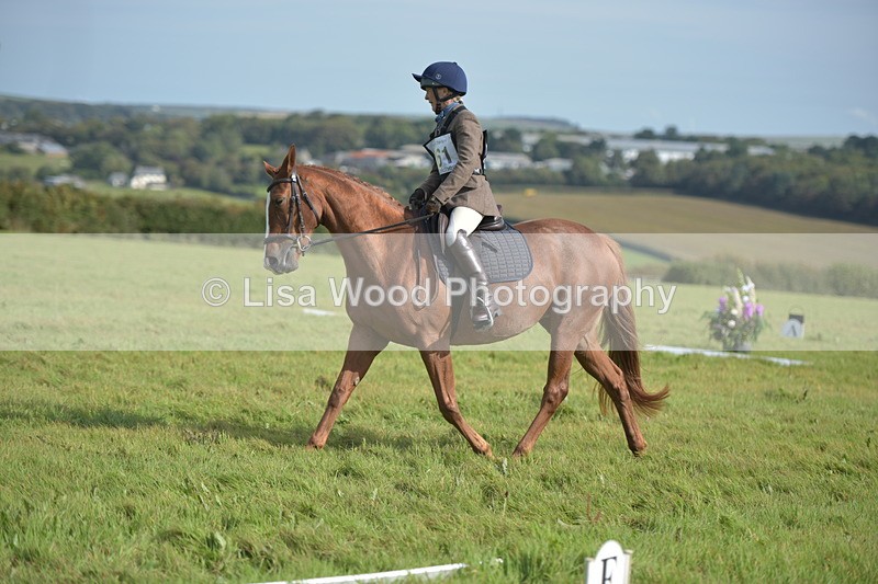 RAY_7853 - Class 2B: Trekenning Open: Dressage