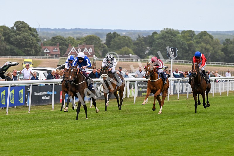 240625-Race 2-Hope Queen-7363 - Race 2