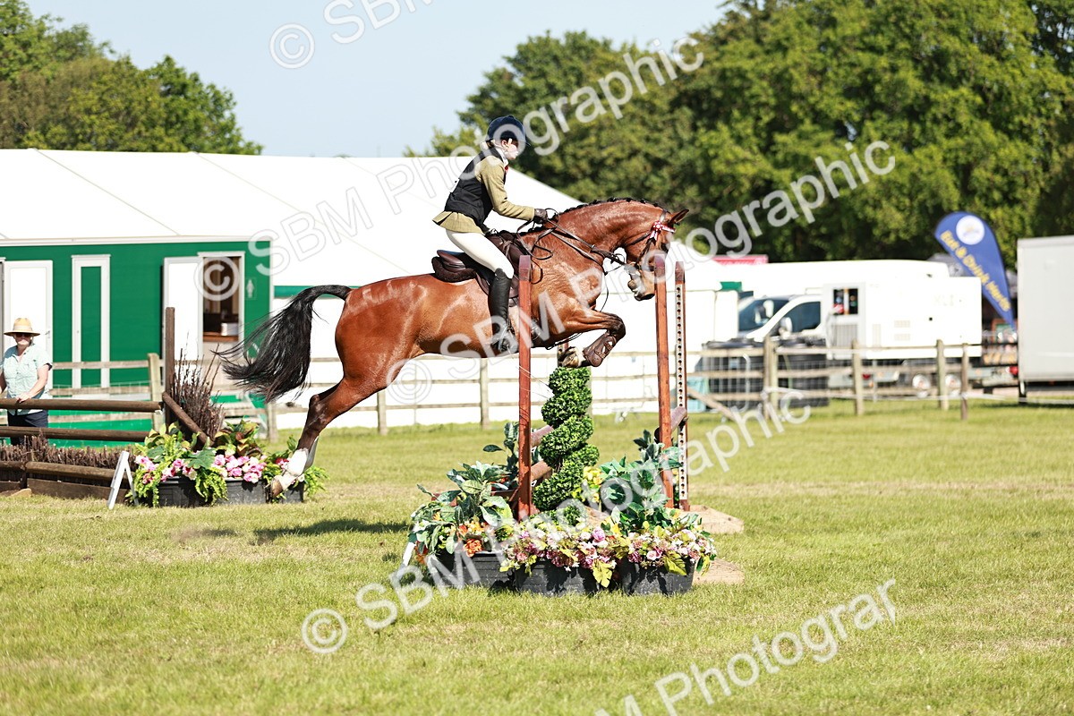 SBM_18820 - Class 114 - RIHS & SEIB Open Working Show Horse