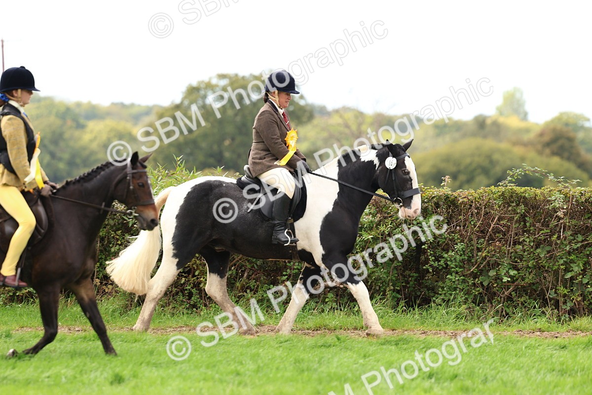 SBM_45153 - S27 - Young Veteran Ridden