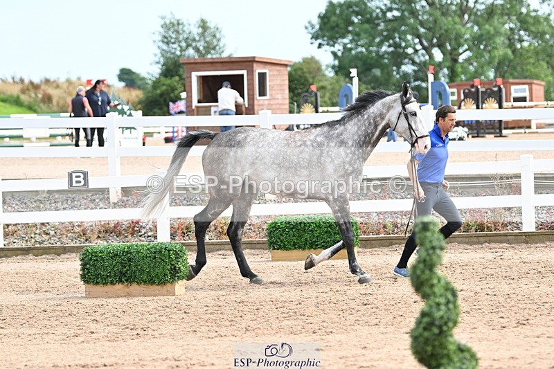 240717A-164235-03485 - Trot Up 4pm to 5pm