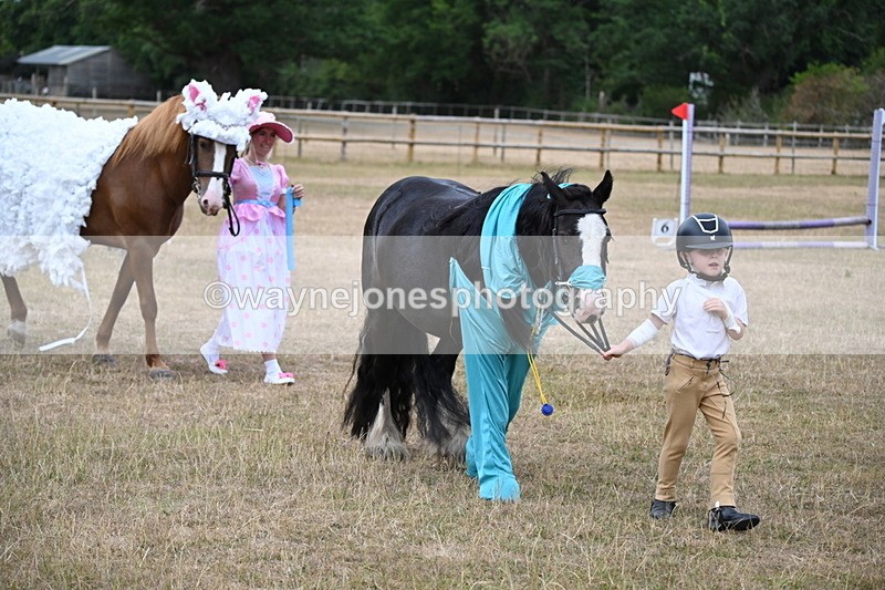 WJ6_8703 - Class 11 Fancy Dress