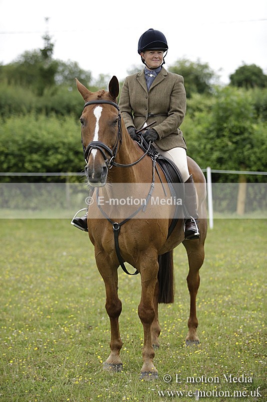 BVR160717-1044 - Ring 1 BVRC Show 16/07/17