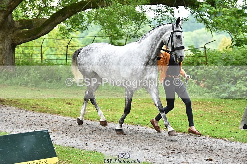 240522-172726-01622 - 287-HEY_DIXIE-Sammy_Harfield