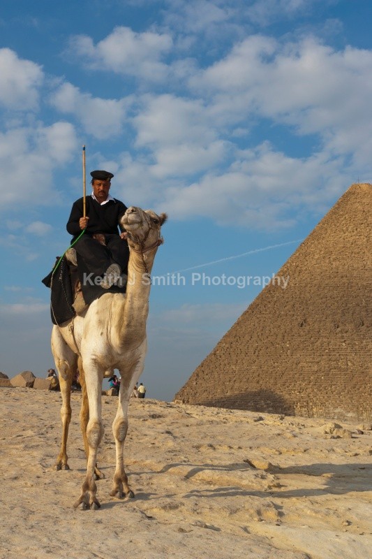 YR6M7860 (RM) - Worldwide