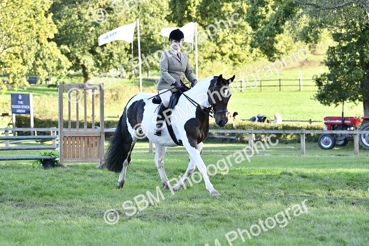 SBM_53553 - S14 - Riding Club Horse
