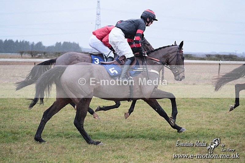 PtP 260125 58 - Cocklebarrow Point-to-Point racing with the Heythrop Hunt 26/01/25