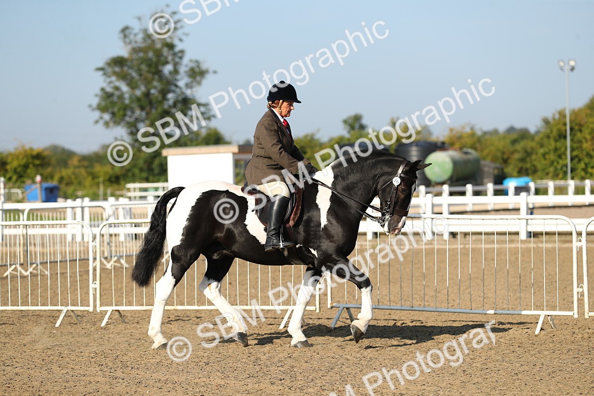 SBM_01110 - Class 42 Ridden Veteran