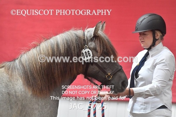 JAC_5725 - 6 Glenmuir Niamh