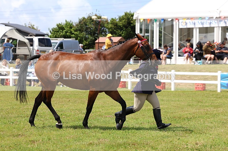 3E7A1144 - Class 8: Open Riding Horse/Hack