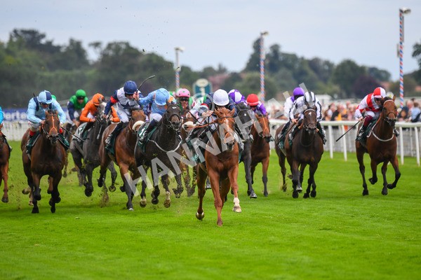 240823-Race 2-Dragon Leader-0207 - Race 2 2.25pm Goffs UK Harry Beeby Premier Yearling Stakes