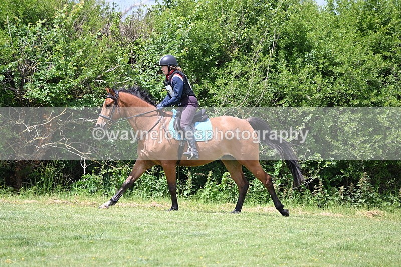 WJ6_3391 - Class 4 60cm