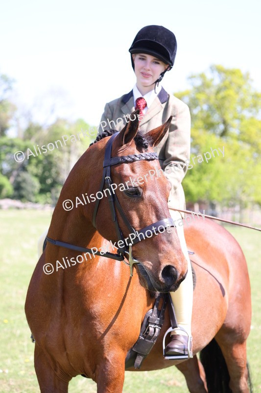 20250427-3269 - Class 33 - Best Pony 14.2hh and Under