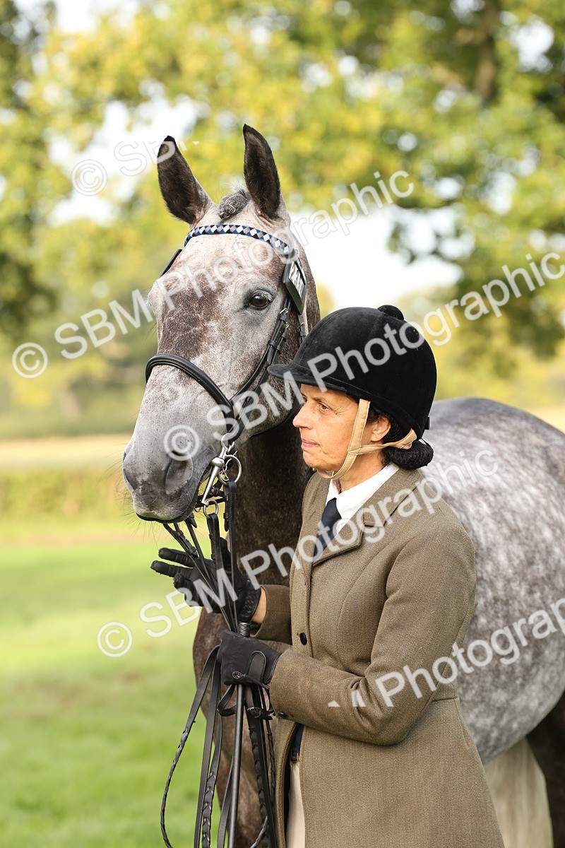 SBM_55003 - S52 - Riding Horse & Hack & thoroughbred In Hand
