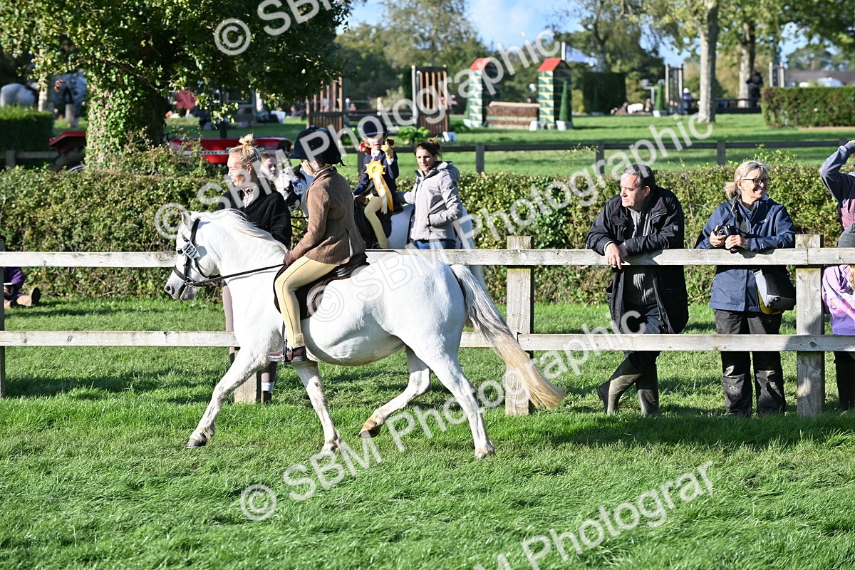 SBM_53006 - S23 - First Ridden Mountain & Moorland Pony