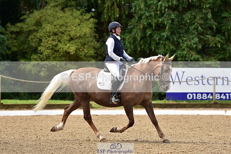 250719A-102220-03646 - 086-Alison.Nicoll-Moondust