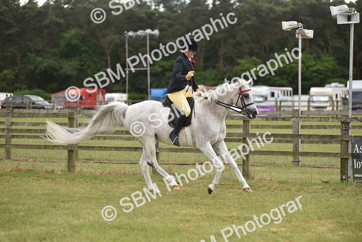 SBM_18252 - Class 122-123 - LIHS BHSA Raising Star Style and Performance Series