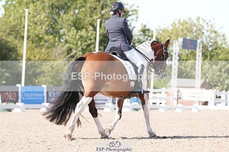 250906-151638-04708 - 112-Mel.DayDolderwydd.lucky.Maisie