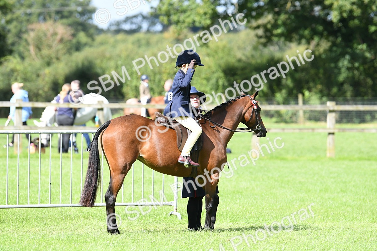 SBM_41174 - S19 - Lead Rein Show & Show Hunter Pony