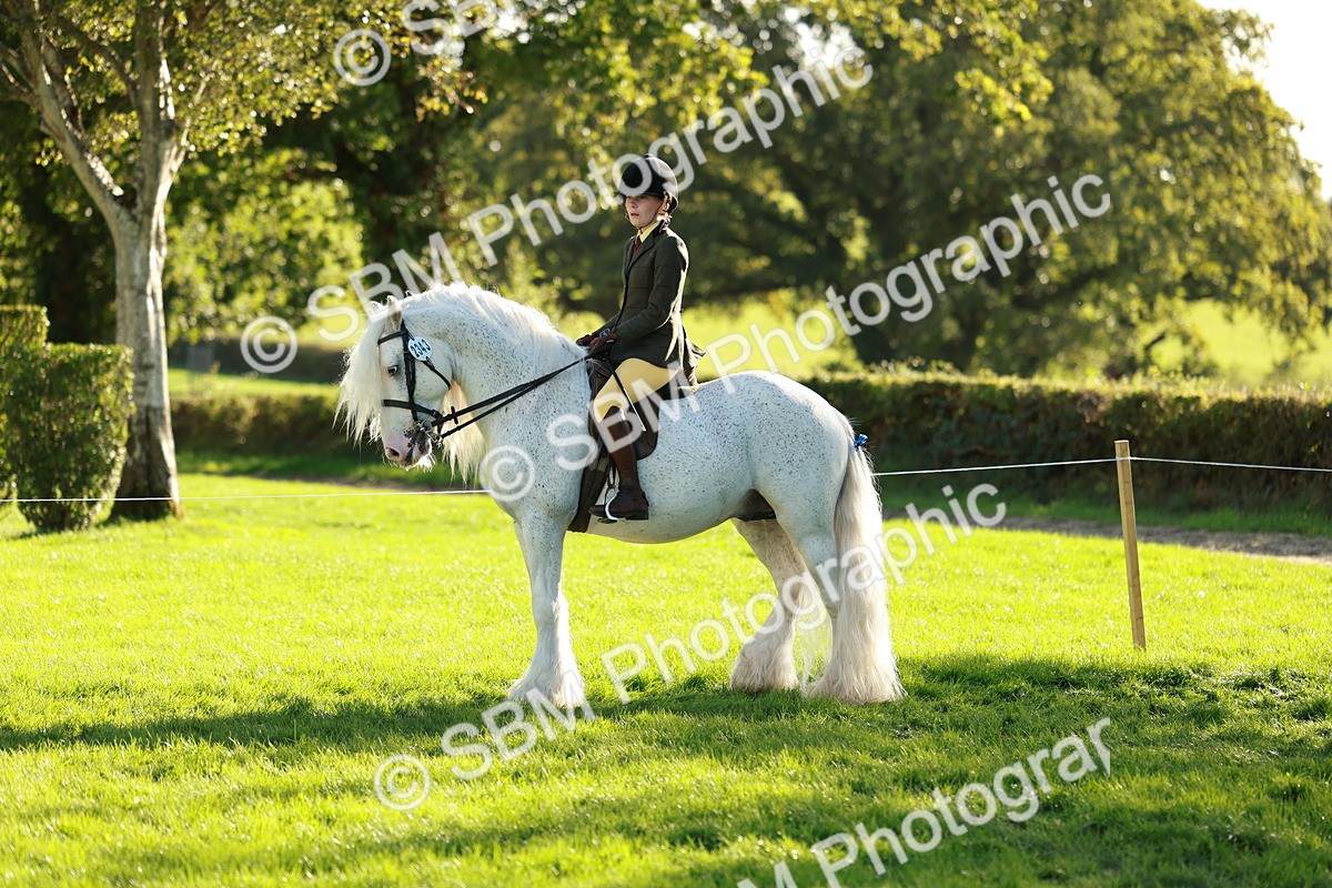 SBM_28736 - S7 - Novice & Newcomer Ridden Pony