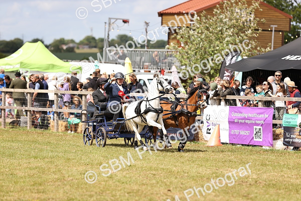 SBM_16124 - Class 91 - Scurry  exceeding 122cms